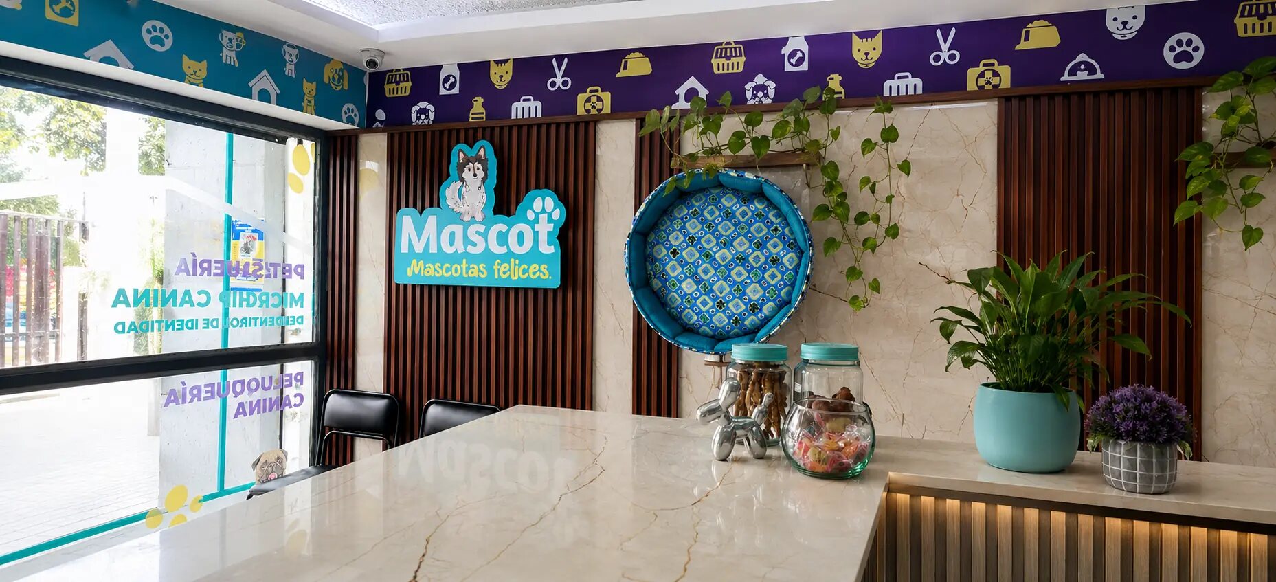 Recepción de Mascot en Quito con su rótulo completo