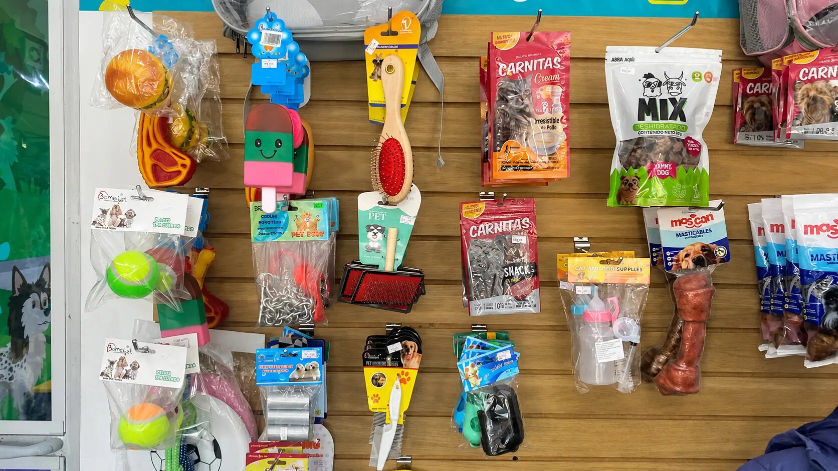 Exhibición real de juguetes, premios y accesorios del Pet Shop Mascot